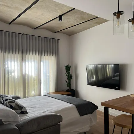 Daire Central Cordoba Suite